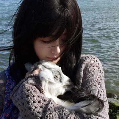 狮子军龙虎鬪